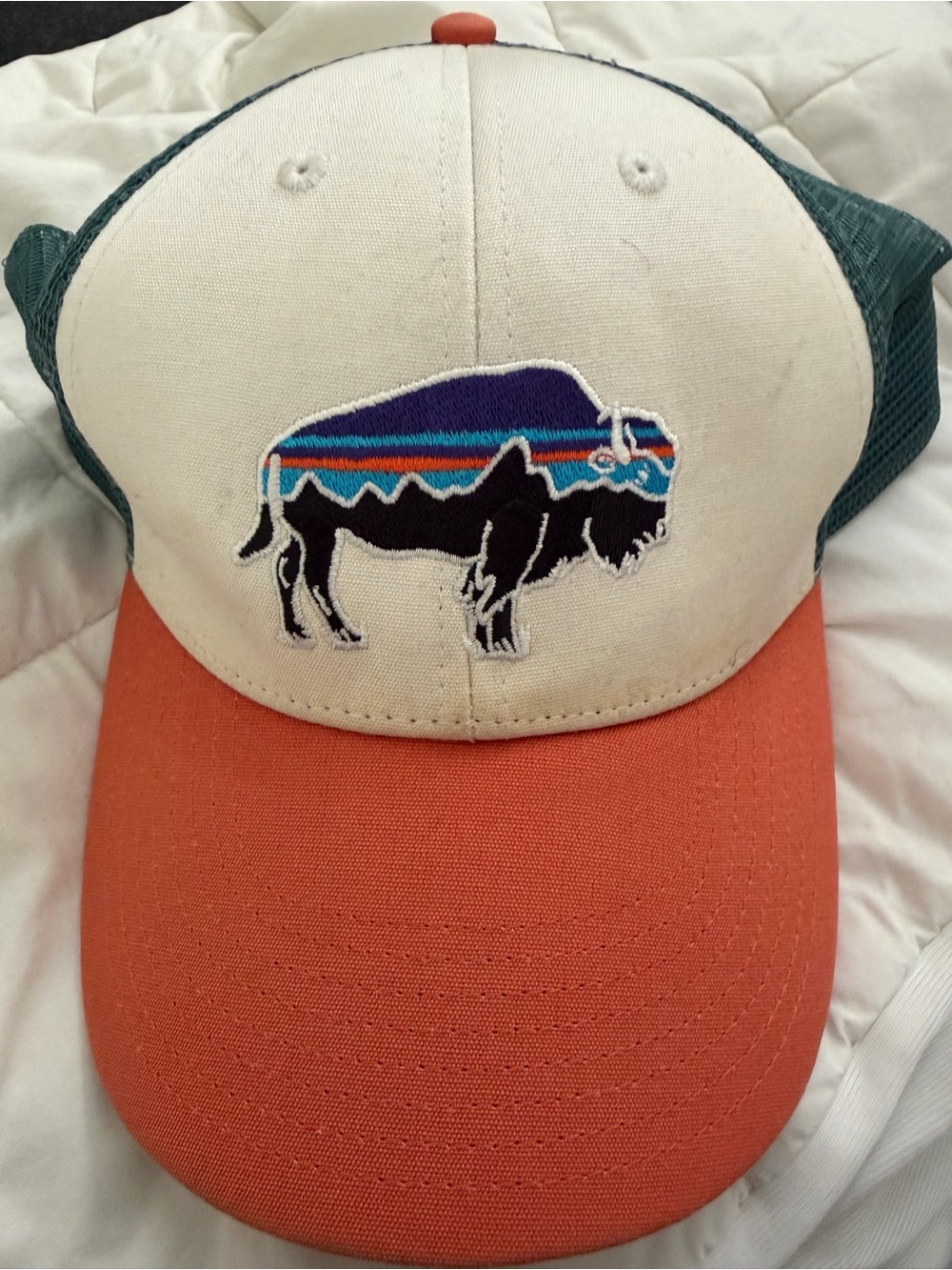 Patagonia SnapBack Hat